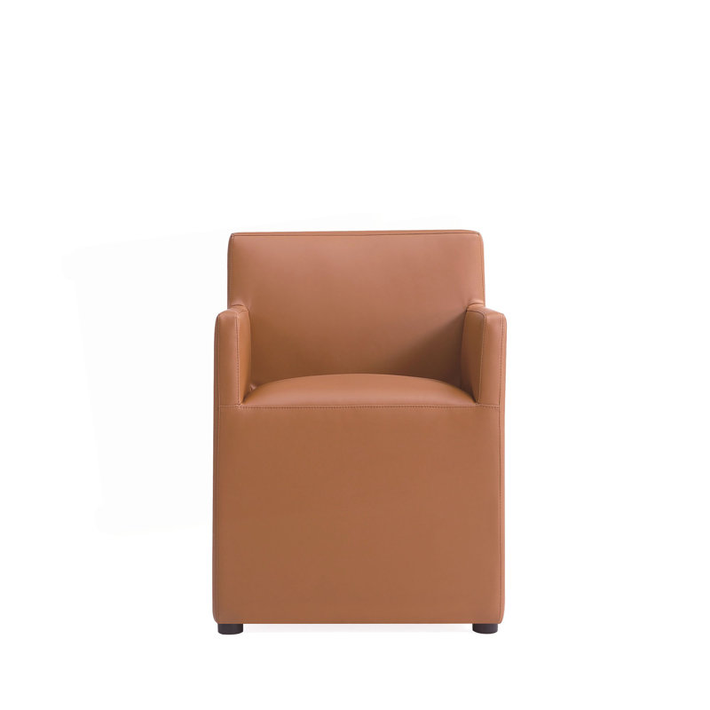 Fauteuil brun selle, Brun