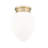Jevone Glass Flush Mount-805576595-805576598