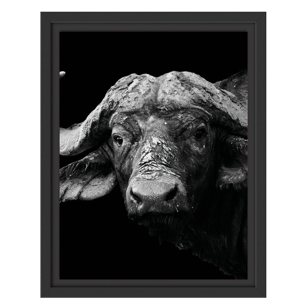 Gerahmtes Poster Dark Water Buffalo