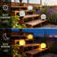 Natural Solar Powered Glass Flood Light Pack
