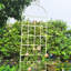 Paquet de 4 pièces de treillis de jardin en acier inoxydable antirouille de 86,7 po x 19,7 po, blanc crème pour plantes grimpantes, support de tuyau rond en métal galvanisé