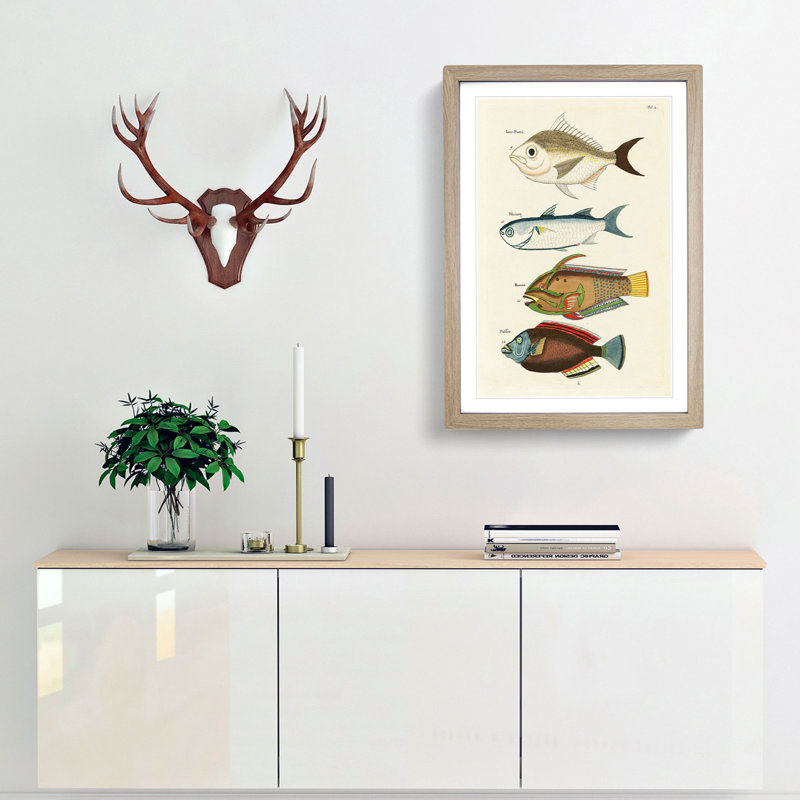 East Indies Fish Illustrations Fol. 2 by Louis Renard - Picture Frame Painting Print, Oak Framed, 65cm H x 48cm W x 2cm D