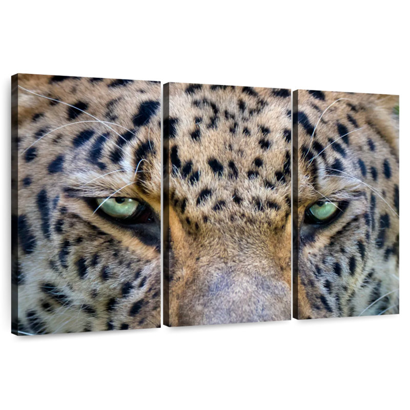 Brampt Leopard Eyes, 20" H x 33" W