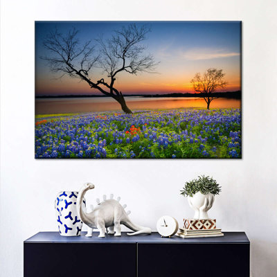 " Texas Sunset Canvas Print "