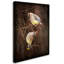 «Peek a Boo Cedar Waxwings» de Vidur, impression sur toile tendue-22073229