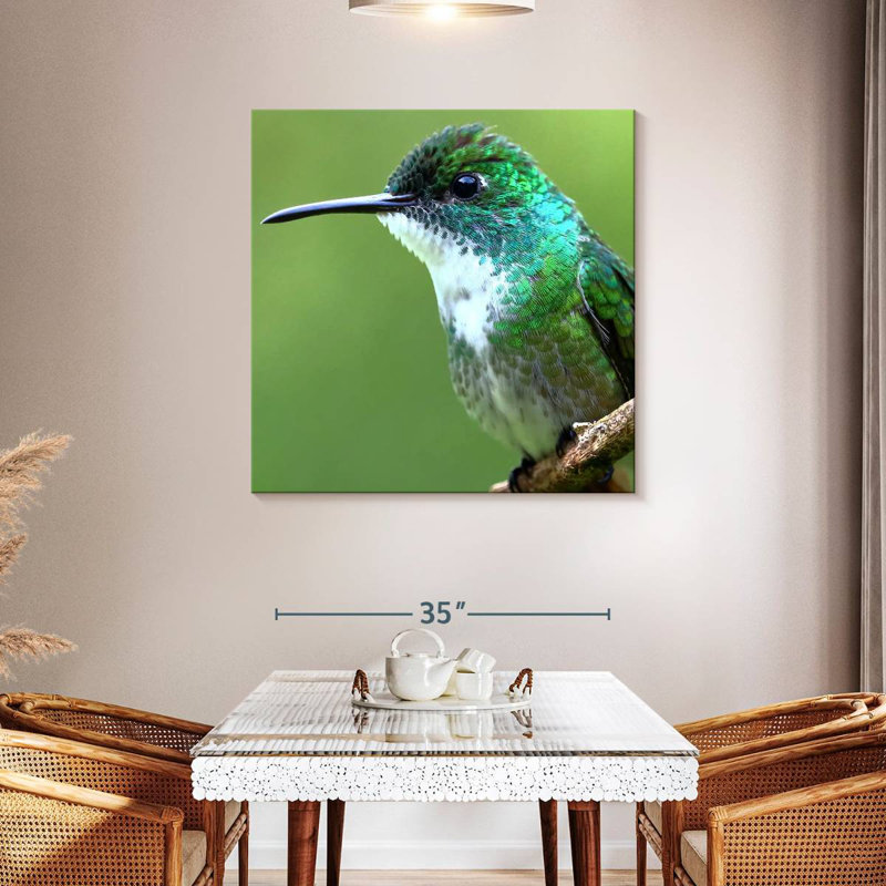 Crowle Starthroat Hummingbird, 39" H x 39" W