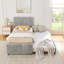 Lit simple Hund Trundle-130076203-130076204