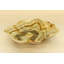 Centre de table beige onyx Cosmo
