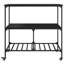 Ohler Metal Bar Cart-64870513