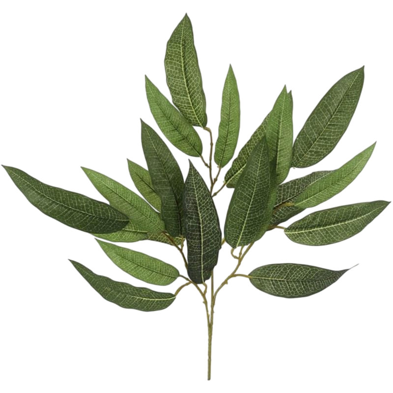 Vaporisateur de feuilles de manguier 21 po - paquet de 12