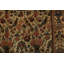 Tapis traditionnel 8 x 11