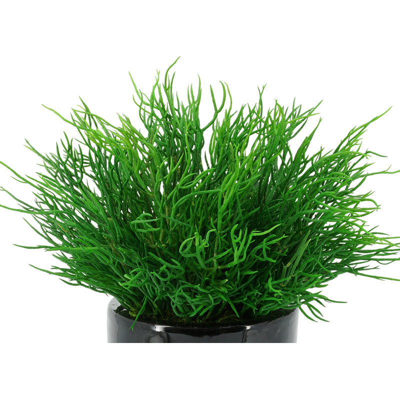 Herbe succulente artificielle de 6,5 po dans un vase décoratif, Noir