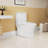1.1/1.6 GPF Elongated Comfort Height Floor Mounted One-Piece Toilet, CUPC Certified, Watersense Cetified, Ceramic, White Color, Soft Close Seat