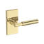 Riddling Full Dummy Lever with Contemporary 5in Rose in Lifetime (PVD) Polished Nickel-1989798191