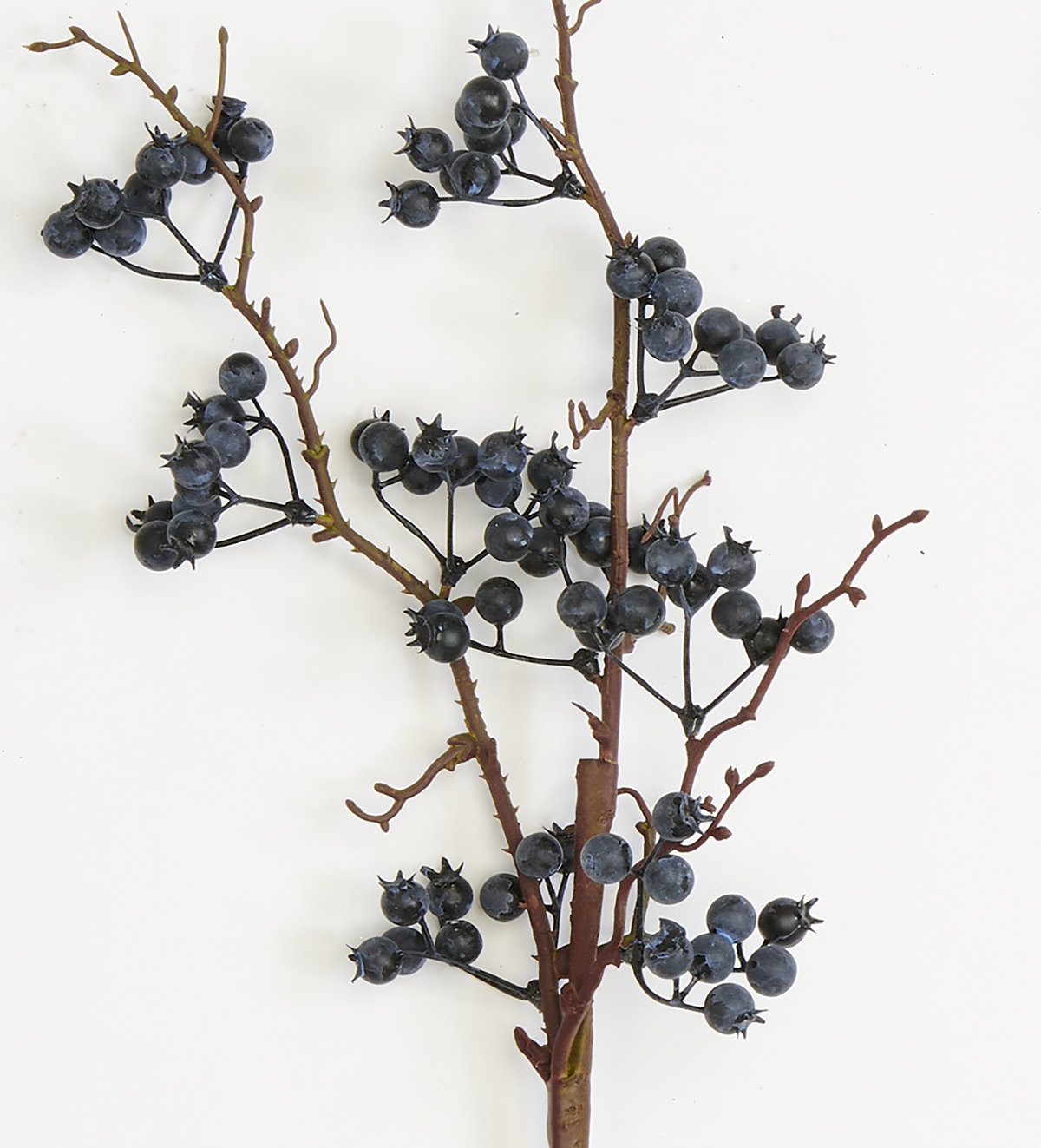 Blueberry Floral Stems