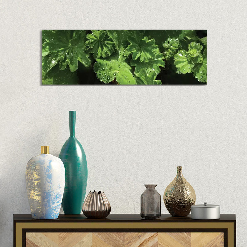 Close-up Of Raindrops On Leaves II - Wrapped Canvas Panoramic Print, 30.48 cm H x 91.44 cm W x 1.91 cm D