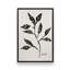 Ensemble de 4 botaniques noirs et blancs-1479030351-1479030350