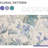 Curtains Light Filtering Privacy Protect Drapes For Living Room Bedroom Flower Printing Window Treatment Grommet 2 Panels-1116000095