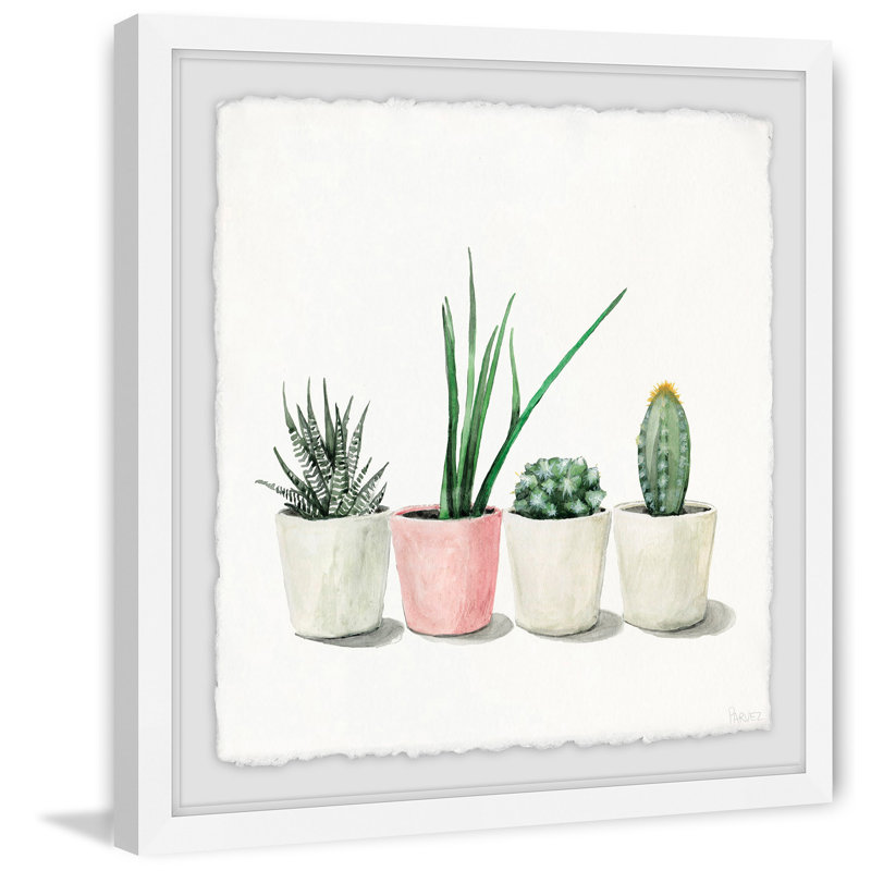 Potted Succulents by Parvez Taj - Single Picture Frame Painting, 81cm H x 81cm W