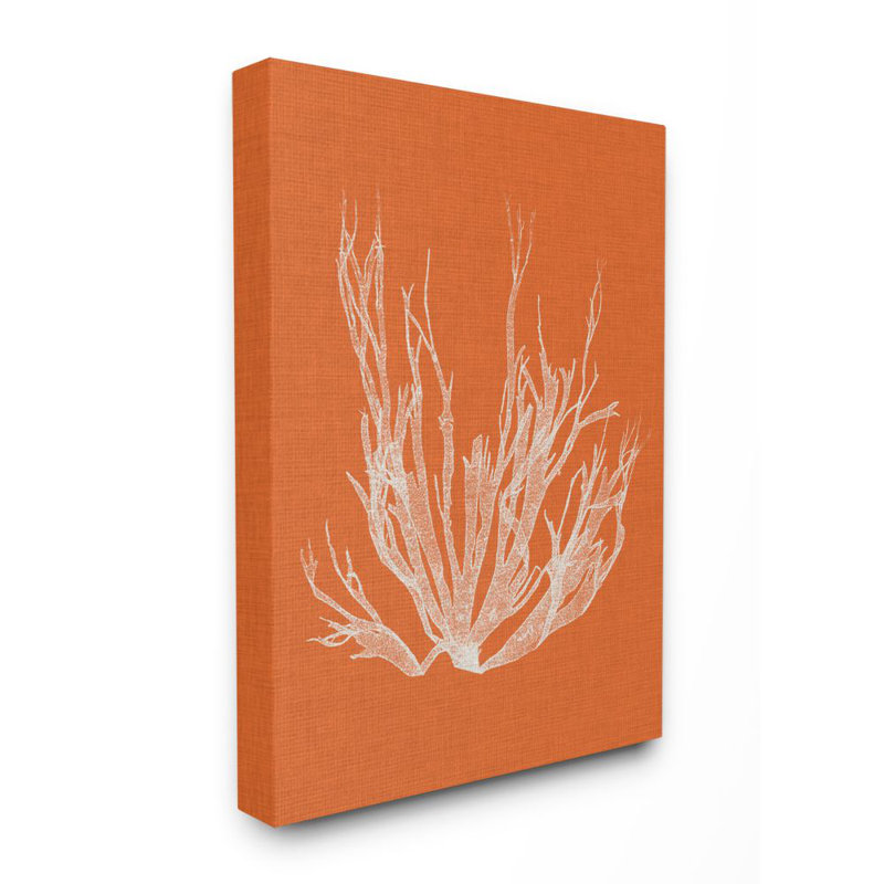 " Coral Seaweed Orange White Beach ", Wrapped Canvas, 24" H x 30" W x 1.5" D