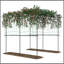 Support de treillis en métal pour jardin avec treillis