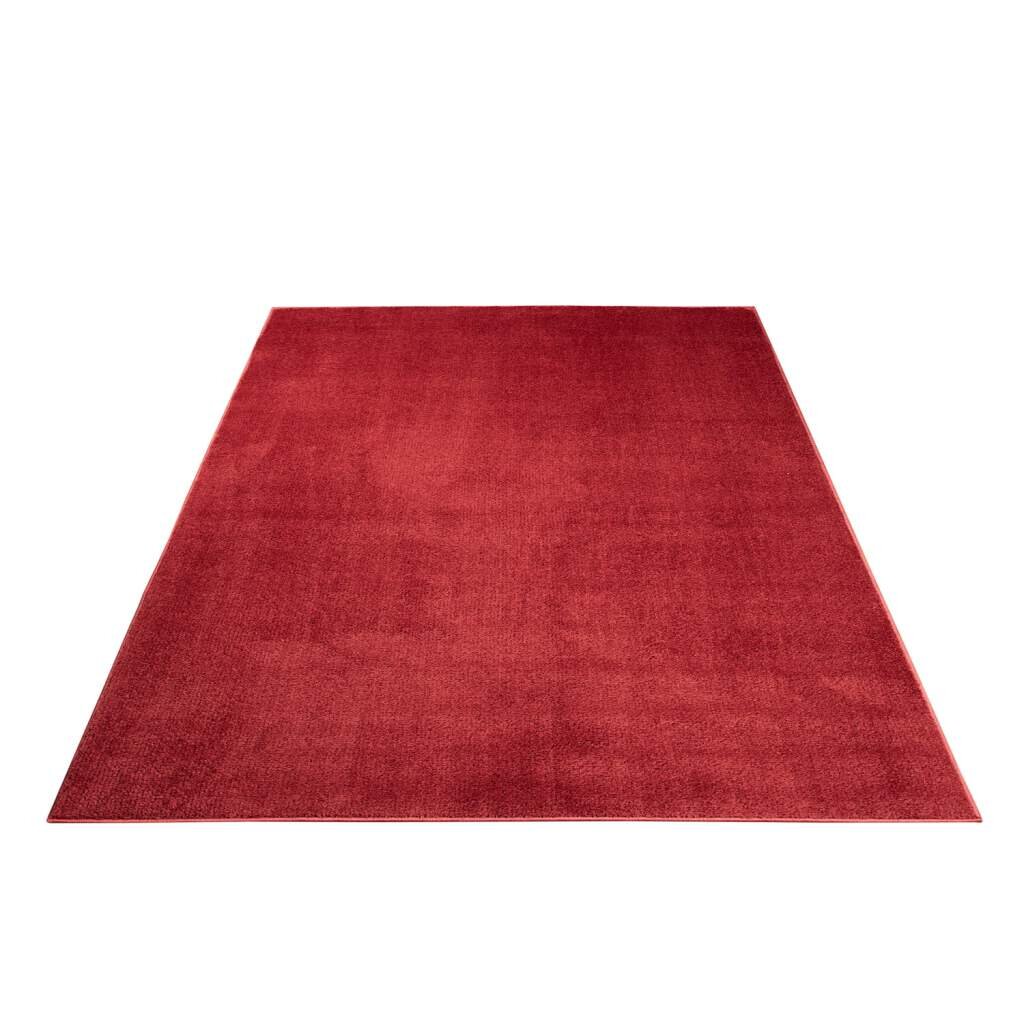 Teppich Softshine 2236 Micro Polyester Hochflor Einfarbig Rot Wohnzimmer Schlafzimmer Haleia