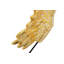 Wings Of Astrum - Gold