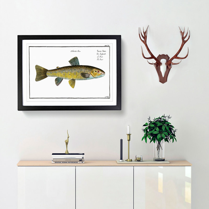 Trout Fish by M.E. Bloch - Framed Print, 48cm H x 65cm W x 2cm D, Black Framed