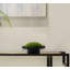 Faux sapin 4,72 po