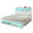 Sherell Bed Frame with Bookcase Storage Headboard and Footboard, LED Lights, Charging Station-409051022-409050994
