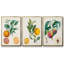 Orange de Malte, ensemble de 3 toiles encadrées sur toile-580387161-580387160