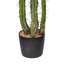 Cactus artificiel vert, pot de fleurs en plastique noir-270291021