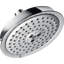 Raindance C 150 Multi Function Rain Shower Head-3609299