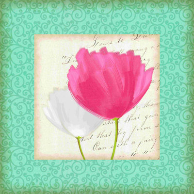 " White And Pink "