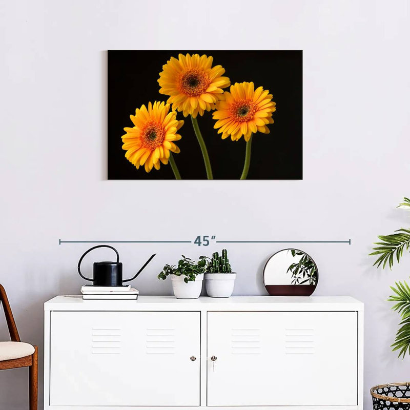 Trois marguerites Harnek sur fond sombre, H 20 po x l 30 po