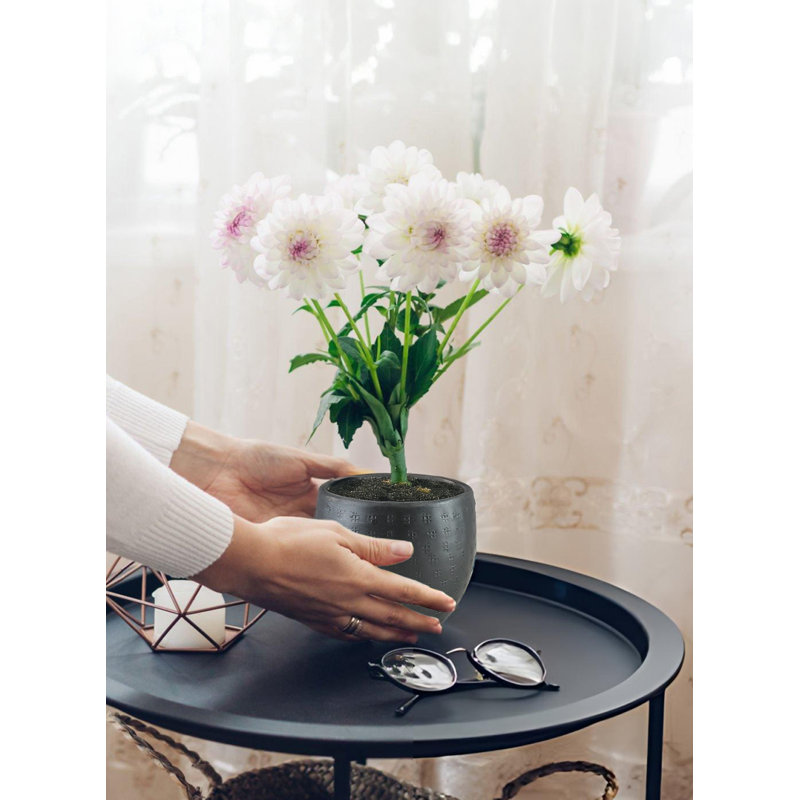 Avira Black Aluminum Planter Pot – Modern Round Metal Plant Container For Indoor & Outdoor Decor, Classic Table Centerpiece, 7" Diameter & 6" Tall