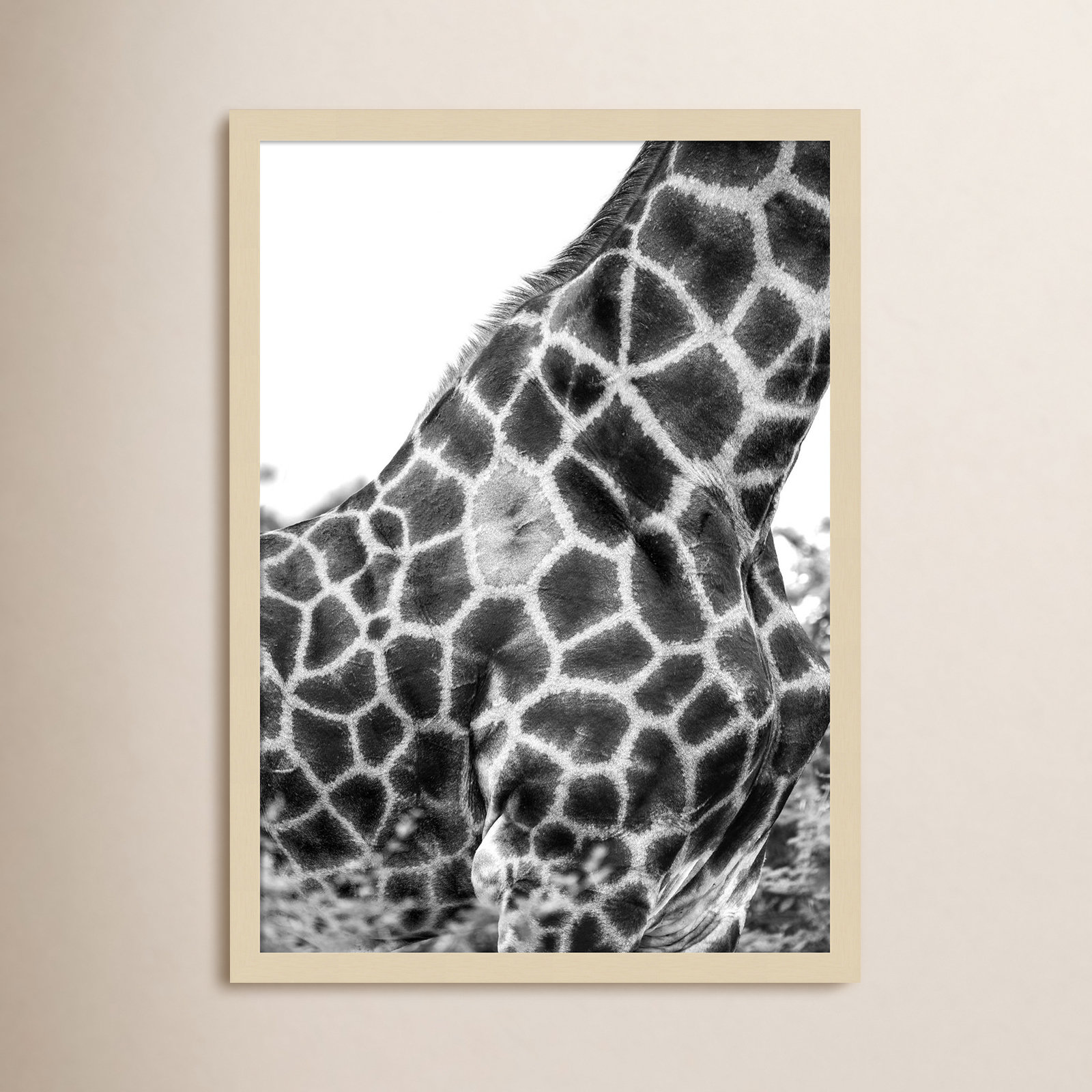 Rochellt "Super Safari No. 3 Giraffe" Print, Brown, 25" H x 18" W