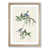 Oak Framed selected