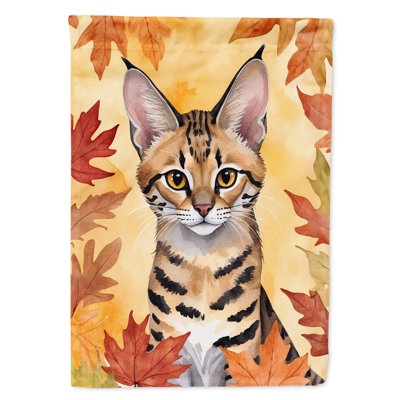Chat en feuilles d'automne