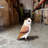 Owl Life Size Statue
