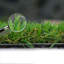 Durban 25Mm Artificial Grass, Pet-Friendly Artificial Grass, Realistic Fake Grass-1M(3'3") X 2M(6'6")-2M2