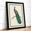 Elegant Peacock Botanical - Framed Print-391231552-391231566