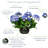 Lifelike Hydrangea Urn Filler-565048429