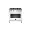 Bertazzoni 36'' W Free Standing Range-33328829