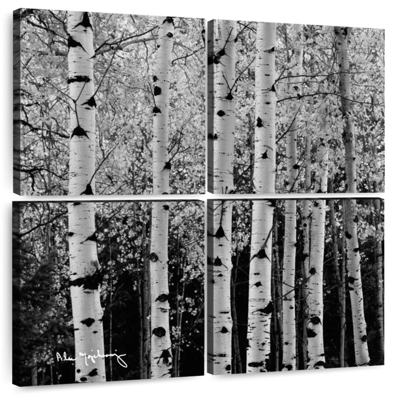 Alvord Aspens en automne BW, H 38 po x l 38 po