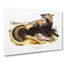 American Cross-Fox by J.W. Audubon - Wrapped Canvas-55306719