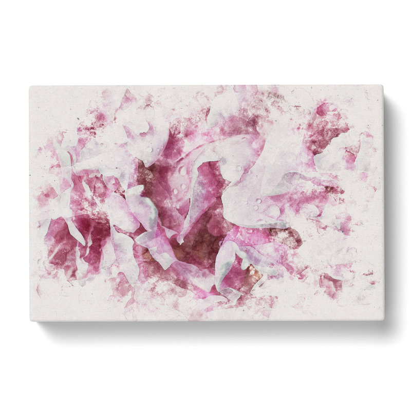 Beautiful Pink Carnation Petals - Wrapped Canvas Print, 35cm H x 50cm W x 3cm D