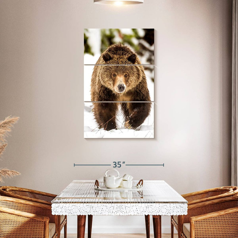Ours grizzly en marche, H 45 po x l 28 po