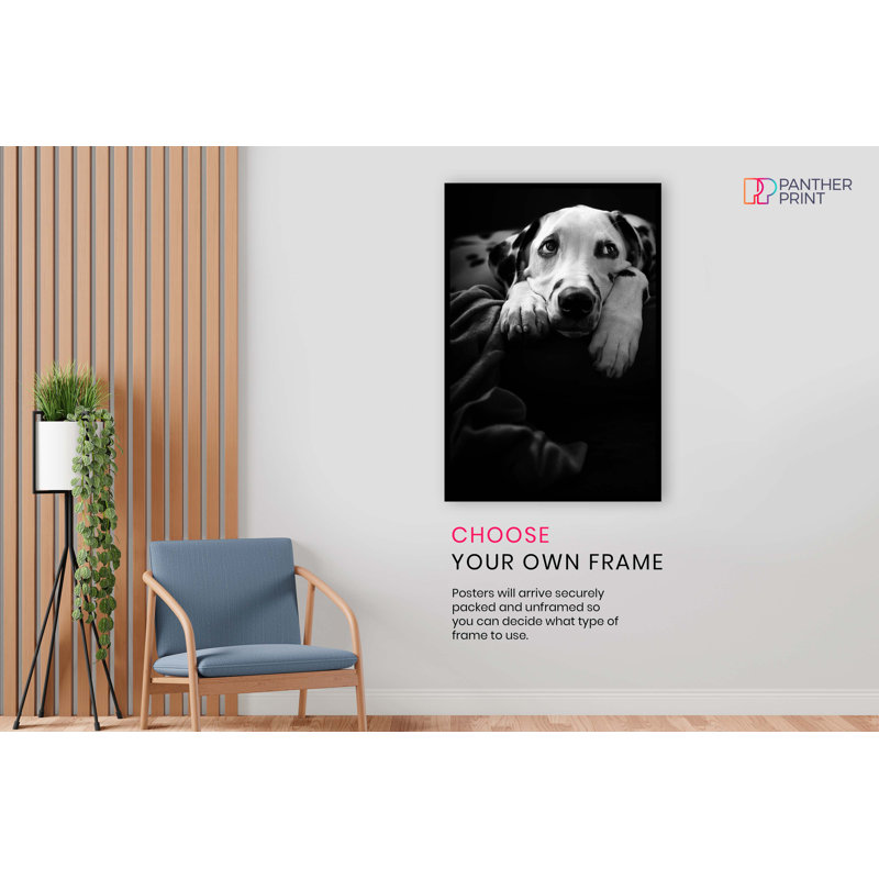 Dalmatian Dog Portrait - No Frame Print, 31cm H x 20cm W x 0.5cm D