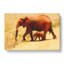 Mother And Baby Elephant Vol.3 - Wrapped Canvas-61842305